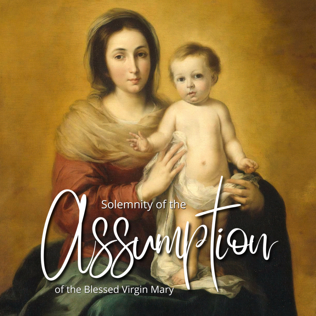 solemnity of the assumption of the blessed virgin mary